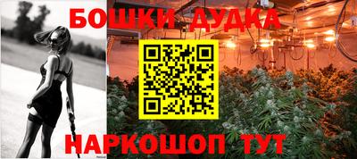 гашик Будённовск