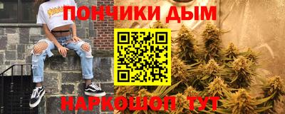 гашик Будённовск